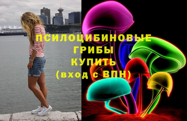 гашик Новозыбков