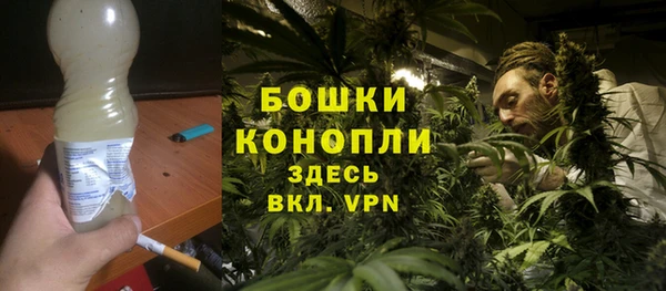 гашик Новозыбков