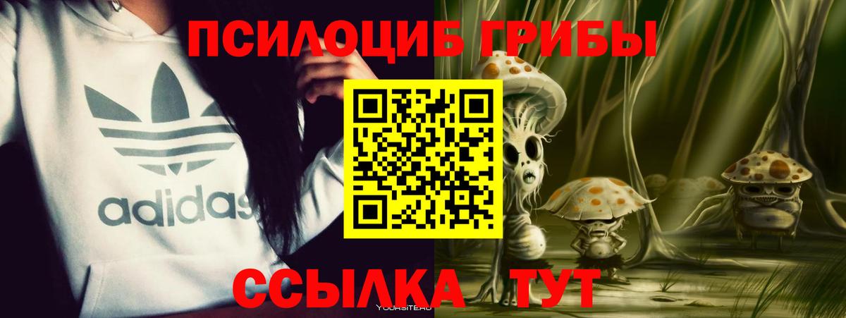 Галлюциногенные грибы мицелий  Сибай 